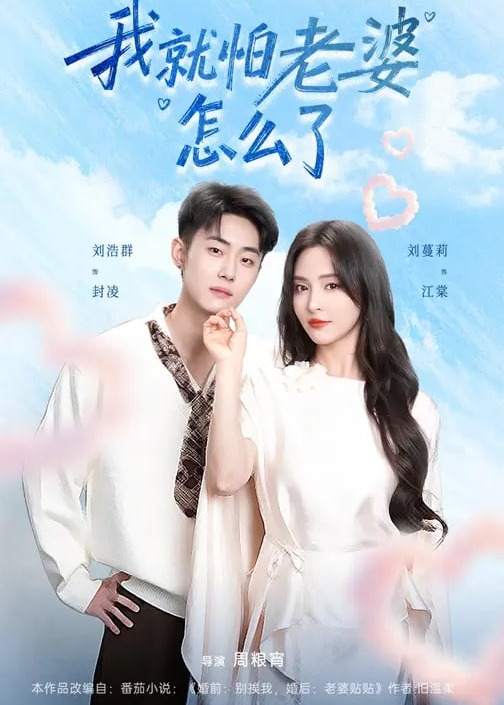 我就怕老婆怎么了(全集)