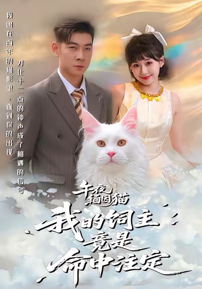 午夜缅因猫我的饲主竟是命中注定(全集)